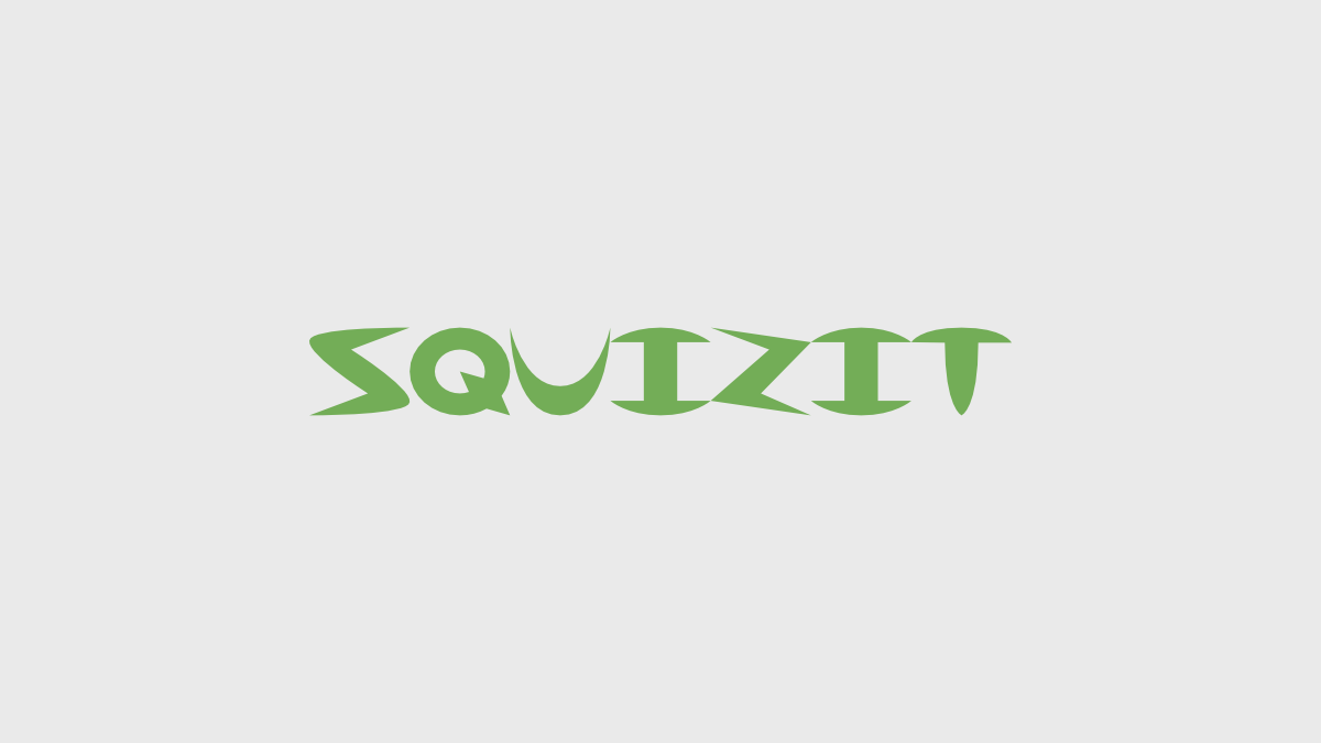 Squizit